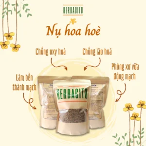 Nụ hoa hoè khô 100% tự nhiên giúp bền thành mạch và hỗ trợ cao huyết áp