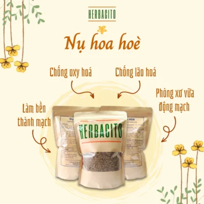 Nụ hoa hoè khô 100% tự nhiên giúp bền thành mạch và hỗ trợ cao huyết áp